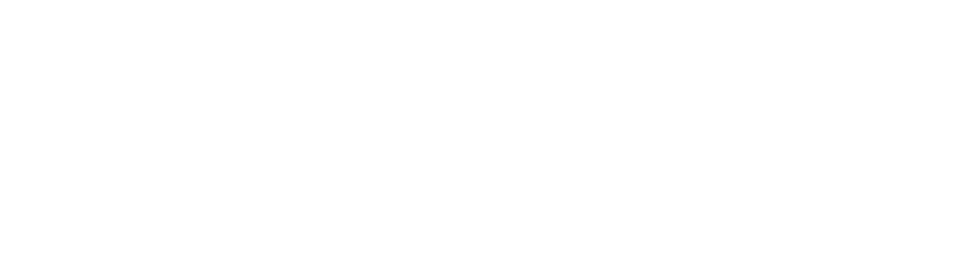 PitPro Logo