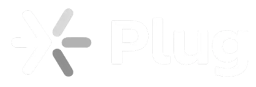 Plug